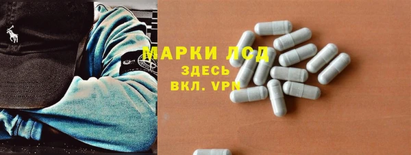 ECSTASY Богданович